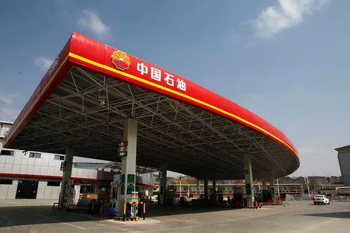 国产资源站 第3张 国产资源站 第3张