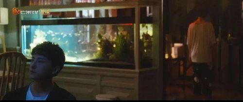 国产乱理,揭秘中国影视行业背后的乱象与反思 第3张 国产乱理,揭秘中国影视行业背后的乱象与反思 第3张