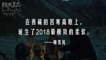 国产三级黄色毛片,暗流涌动的地下世界  第3张