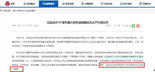 国产小视频网址,探索国内短视频新潮流  第2张