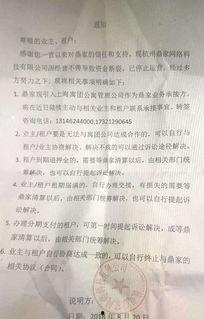 浮力影院第一页国产,浮力影院引领国内观影新潮流  第2张