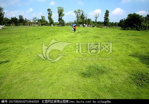 青青青草国产免费观看,国产免费观看，绿色生态影视盛宴  第1张