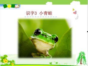 国产91小青蛙,探寻童年记忆中的欢乐精灵  第3张