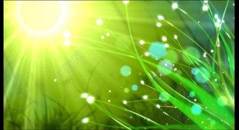 娱乐吃瓜视频背景图片素材