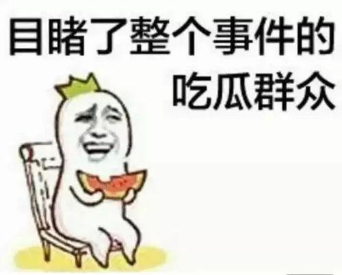 娱乐吃瓜君被点名,揭秘网络红人的崛起与争议