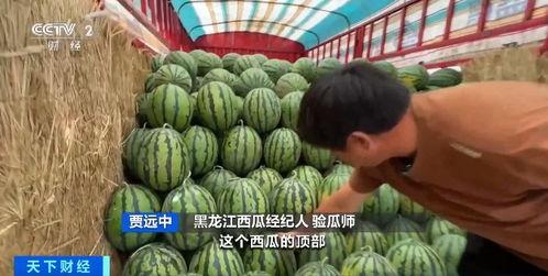 娱乐713吃瓜最新入口,最新入口带你一网打尽娱乐圈风云