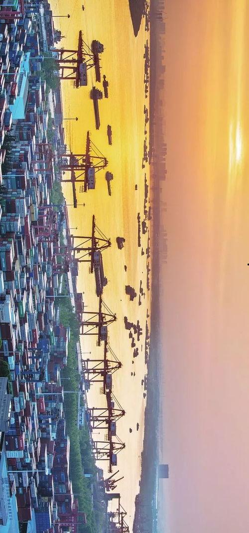 国产真实野战在线视频,还原战场真实，展现军人风采